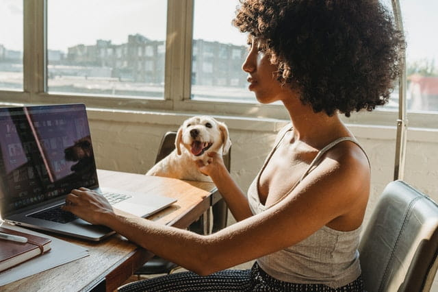 5 High-Paying Online Jobs for College Students 2025